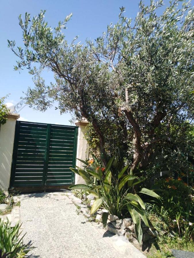 Arhontiko Kastelorizia Villa Афанту Екстериор снимка